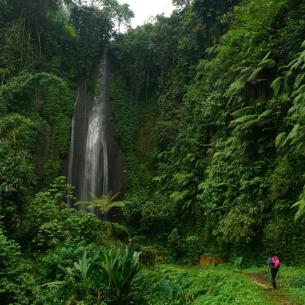 Why Spending Time in Nature Is a Biological Necessity, and not a Luxury