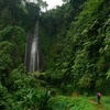 Why Spending Time in Nature Is a Biological Necessity, and not a Luxury
